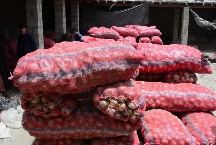 Kandahar exports 9,500 tons of onions to India and Pakistan, boosting local farmers' economy and agricultural growth.