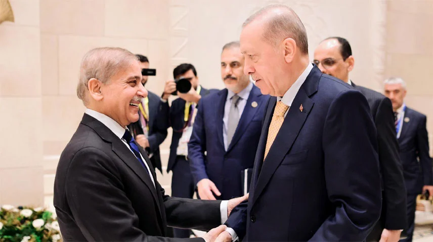 Pakistan and Türkiye strengthen bilateral ties, focusing on economic cooperation and trade at the 11th D-8 Summit in Cairo [Image via Mettis Global]