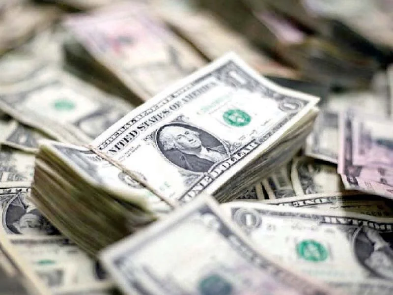 Pakistan's foreign reserves hit $16.04 Billion by Jan 31, with State Bank of Pakistan reserves rising $46M, signaling cautious growth. [Image via The Express Tribune/File]